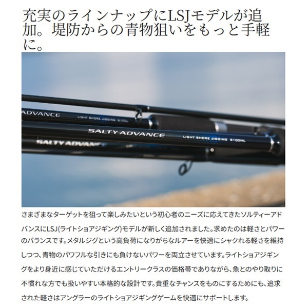 19 SALTY ADVANCE ジギング